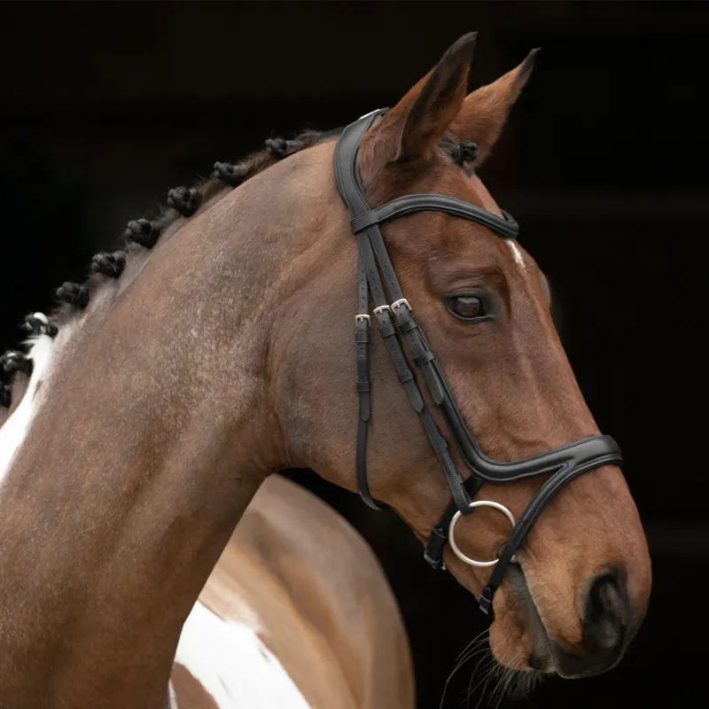 Shires Velociti Rapida Comfort Flash Bridle - Black